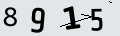 verifycode